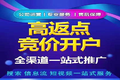 专业SEM托管服务，案例解读SEO优化策略